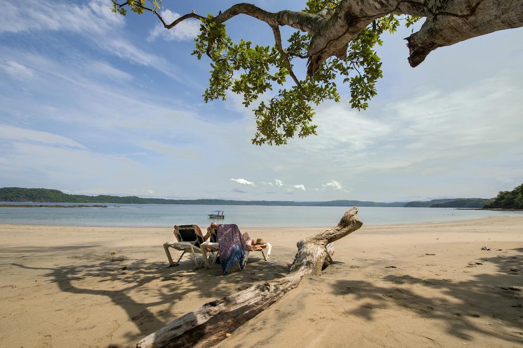 Occidental Papagayo (Adults Only) Ξενοδοχείο Culebra Εξωτερικό φωτογραφία