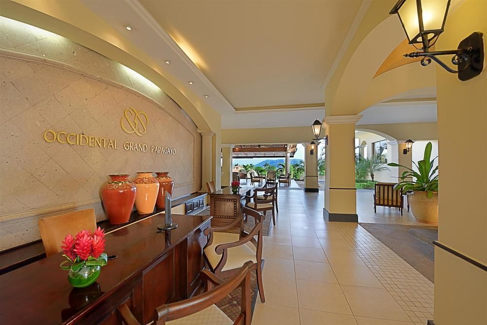 Occidental Papagayo (Adults Only) Ξενοδοχείο Culebra Εξωτερικό φωτογραφία